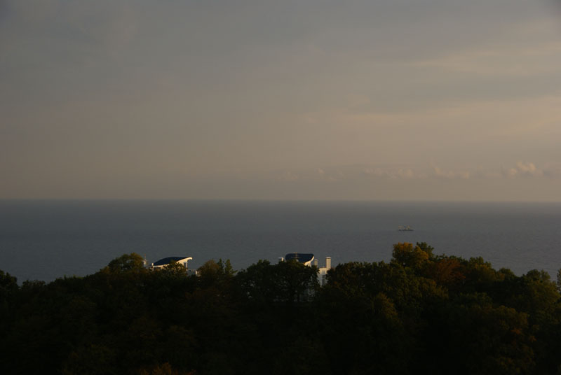 DSC01991