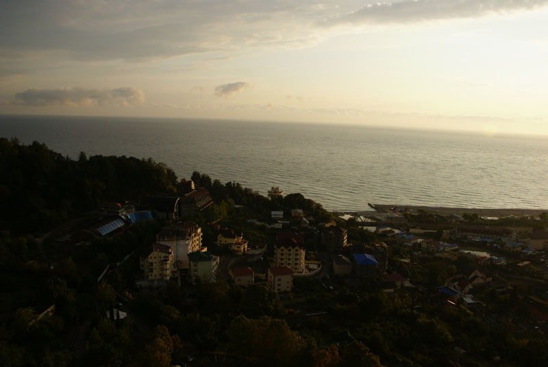 DSC01994